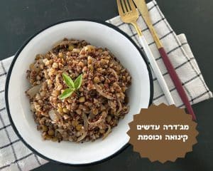 מג'דרה עדשים קינואה וכוסמת
