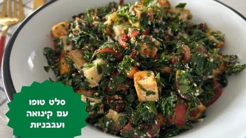 סלט טופו עם קינואה ועגבניות