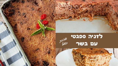 מתכון ללזניה ספגטי בשר