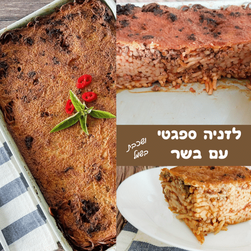 מתכון ללזניה ספגטי בשר