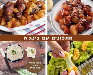 מתכונים קלים עם נינג'ה