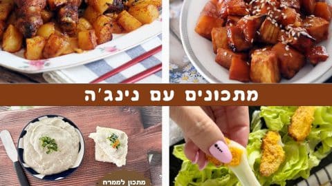 מתכונים קלים עם נינג'ה