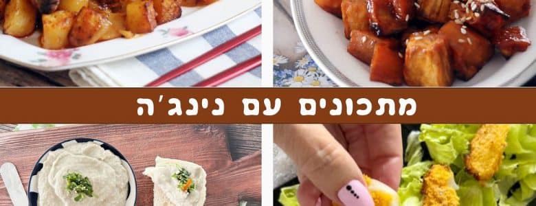 מתכונים קלים עם נינג'ה
