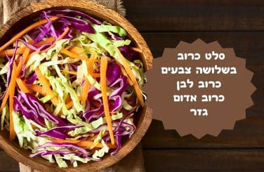 סלט כרוב בשלושה צבעים