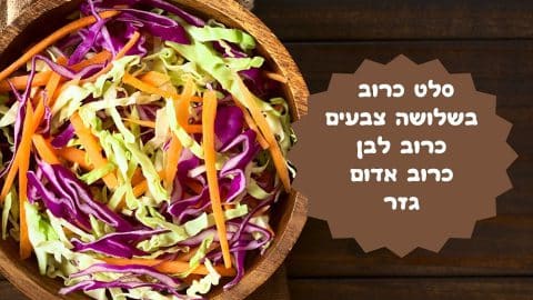 סלט כרוב בשלושה צבעים