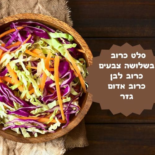 סלט כרוב בשלושה צבעים