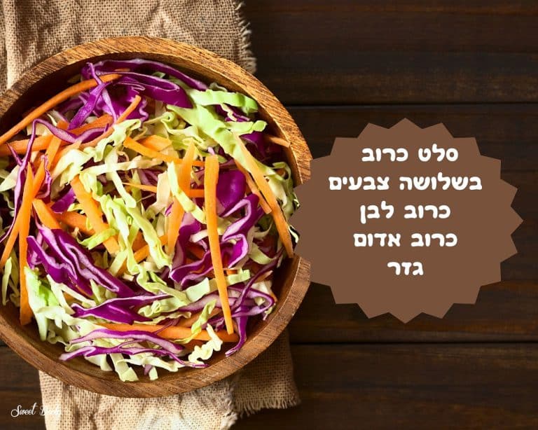 סלט כרוב בשלושה צבעים