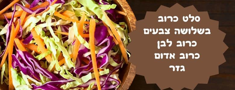 סלט כרוב בשלושה צבעים