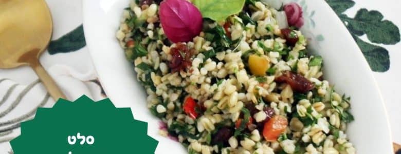 סלט טאבולה עם גריסים וחמוציות
