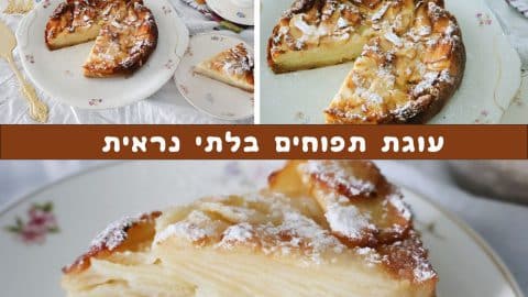 עוגת תפוחים בלתי נראית