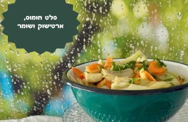 סלט חומוס ארטישוק ושומר