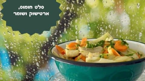 סלט חומוס ארטישוק ושומר