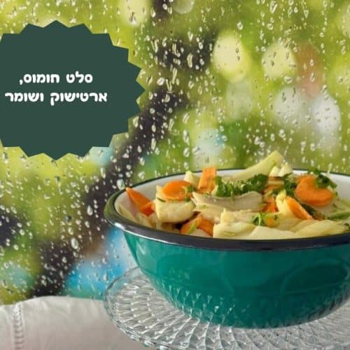 סלט חומוס ארטישוק ושומר