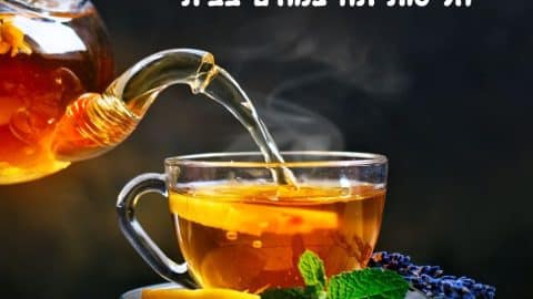מדריך להכנת חליטות תה צמחים בבית