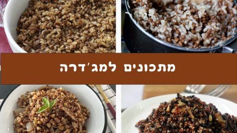 5 מתכונים שונים למג'דרה