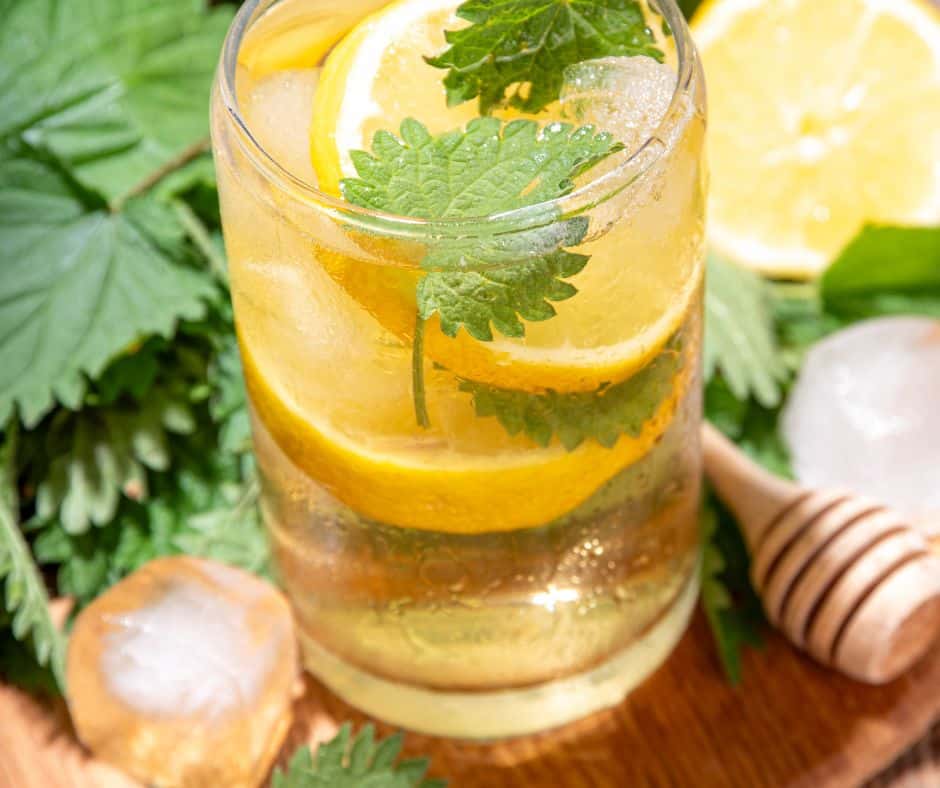 תה סירפדים שמכינים בבית