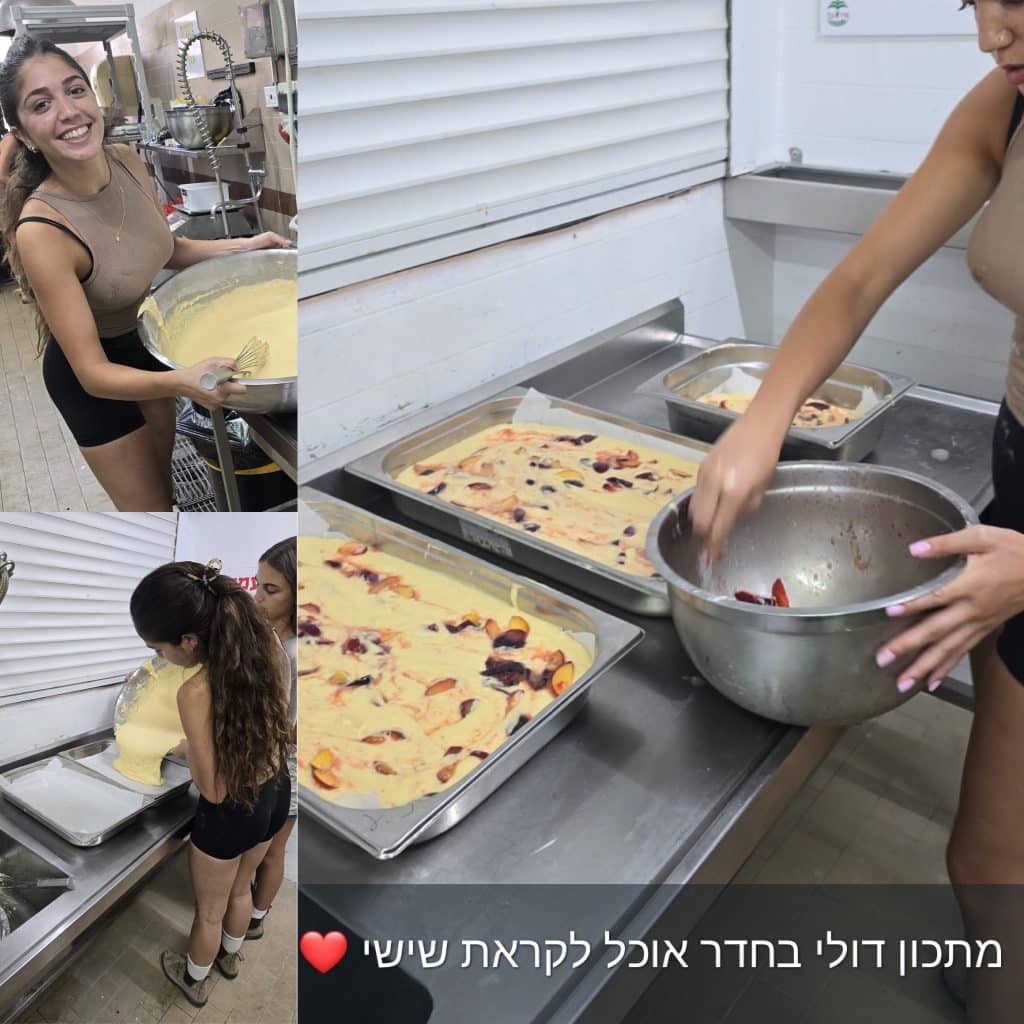 עוגת שזיפים ושטרויזל