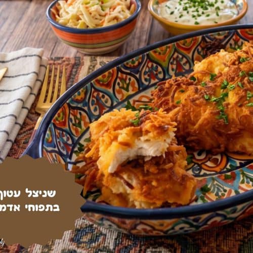 שניצל עטוף בתפוחי אדמה