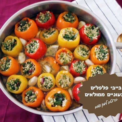 בייבי פלפלים צבעוניים ממולאים