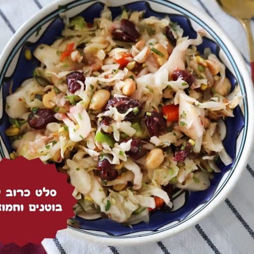סלט כרוב עם בוטנים וחמוציות