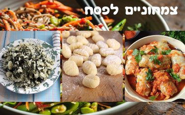 מתכונים צמחוניים לפסח מתכונים צמחוניים לפסח