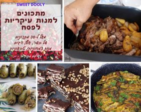מתכונים למנות עיקריות לפסח מתכונים למנות עיקריות לפסח