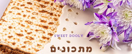 מתכונים לפסח מתכונים לפסח